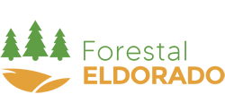 Forestal el dorado